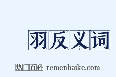 張羽反义词是什么意思的图片